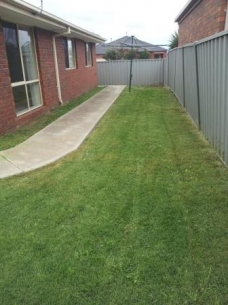 House Backyard After