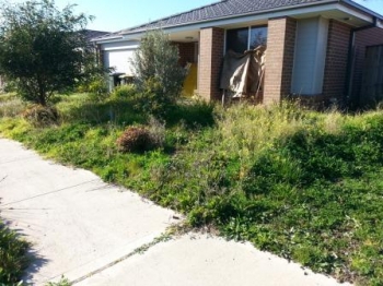 House Front yard Before