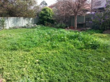 House Backyard Before