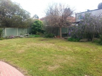 House Backyard After